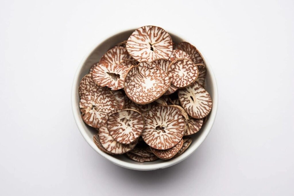 arecanut 1
