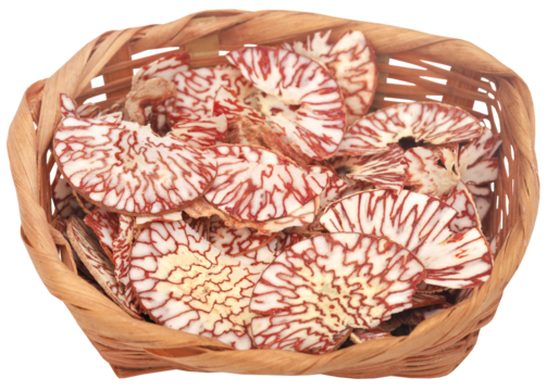 arecanut